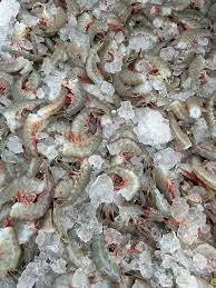 Jumbo Fresh Shrimp from Murrells Inlet - 5 lb