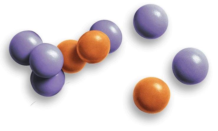 Little Secrets 5 oz Candies, 4 Pack (Spiced Pumpkin Pie Dark Chocolate)