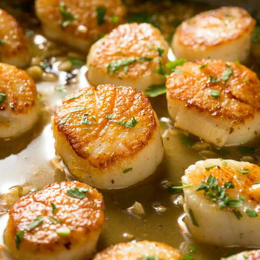 Jumbo Maine Sea Scallops U/10 Diver Scallops - 4 lbs