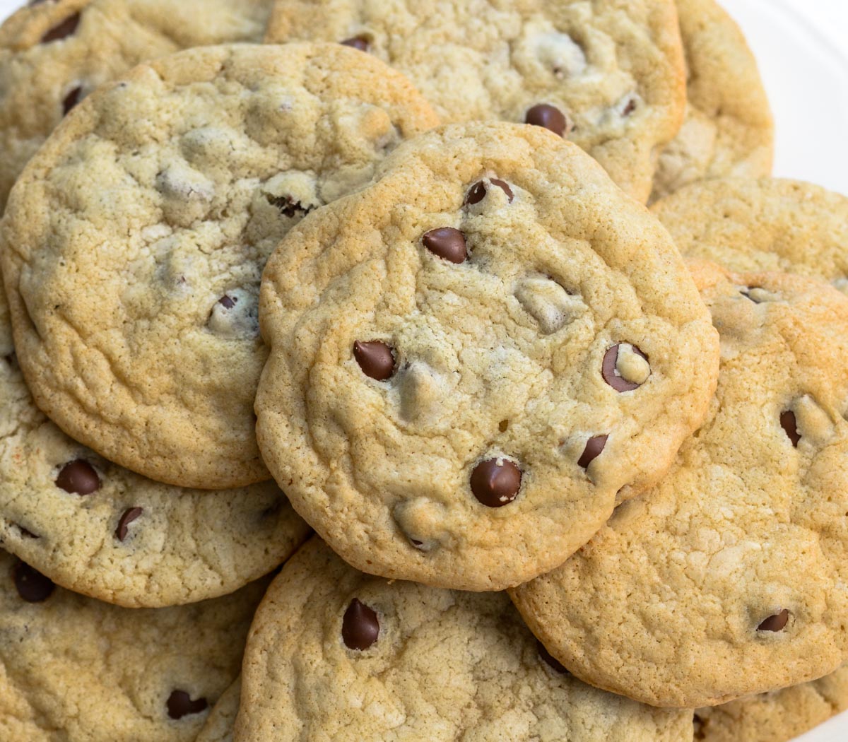 Sugar Free Chocolate Cookies - 1 Dozen