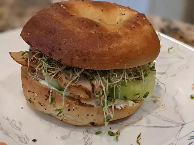 SOLA Low Carb Bagels - Plain