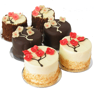 Cherry Blossom Mini Cake Sampler - Six Included