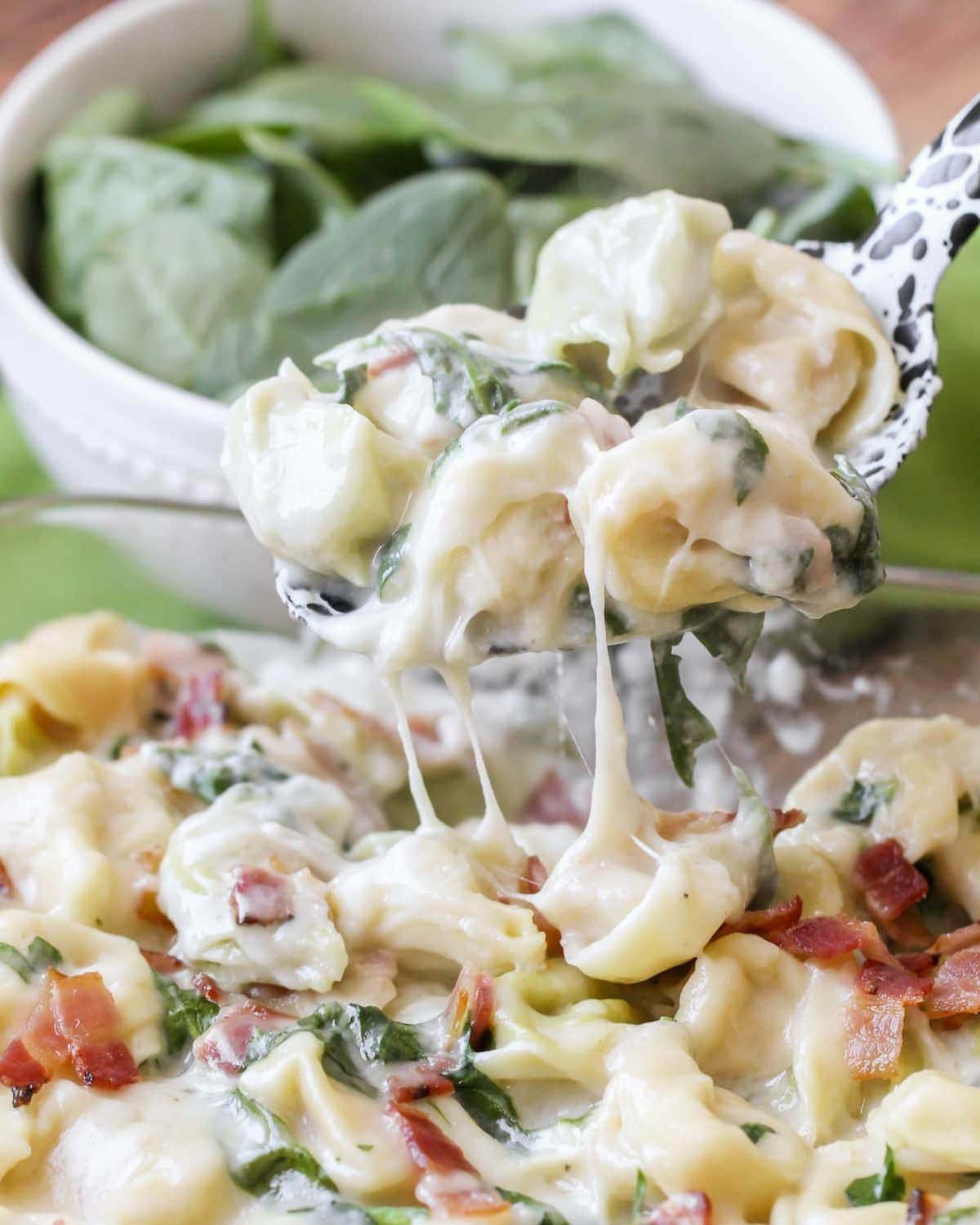 Cheese Tortellini Pasta - 5 lb - 2/Case