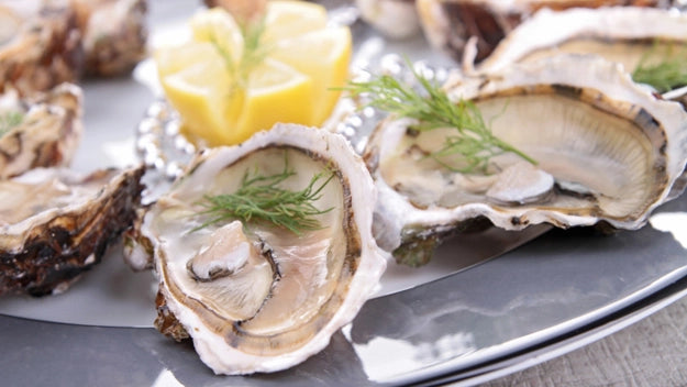 Live Fresh Wellfleet Oysters - 1 Dozen