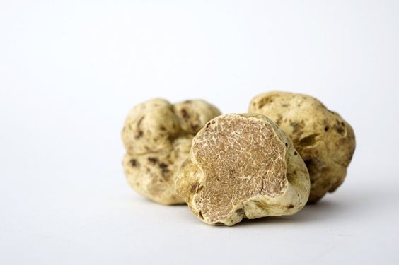 Fresh White Truffles (Italy)
